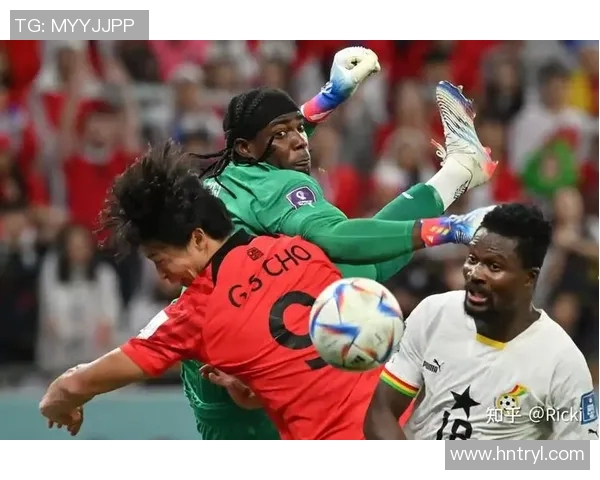 韩国与卡塔尔比赛胜率分析及影响因素探讨