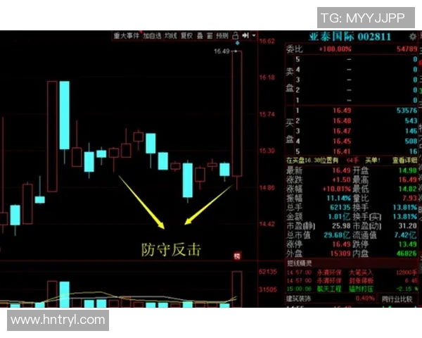专业分析LNG战队的防守策略与战术布局解析