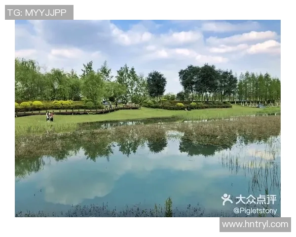 成都极限运动嘉年华心理素质分析及成都队表现评析MBA